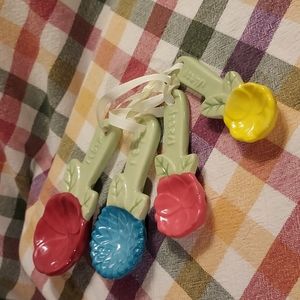 Pioneer Women measuring spoons